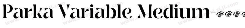 Parka Variable Medium字体转换